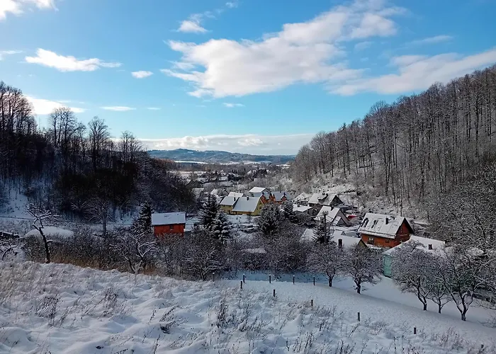 Sol Wilcza Zagroda *